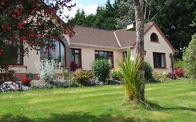 O'Sheas Ceol Na Habhann B&B